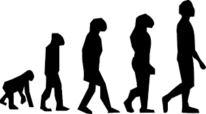 evolution_1.png