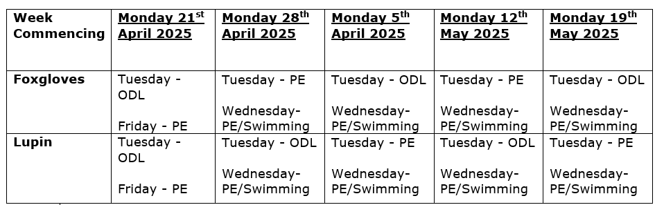 pe_odl_final_timetable_sum1.png