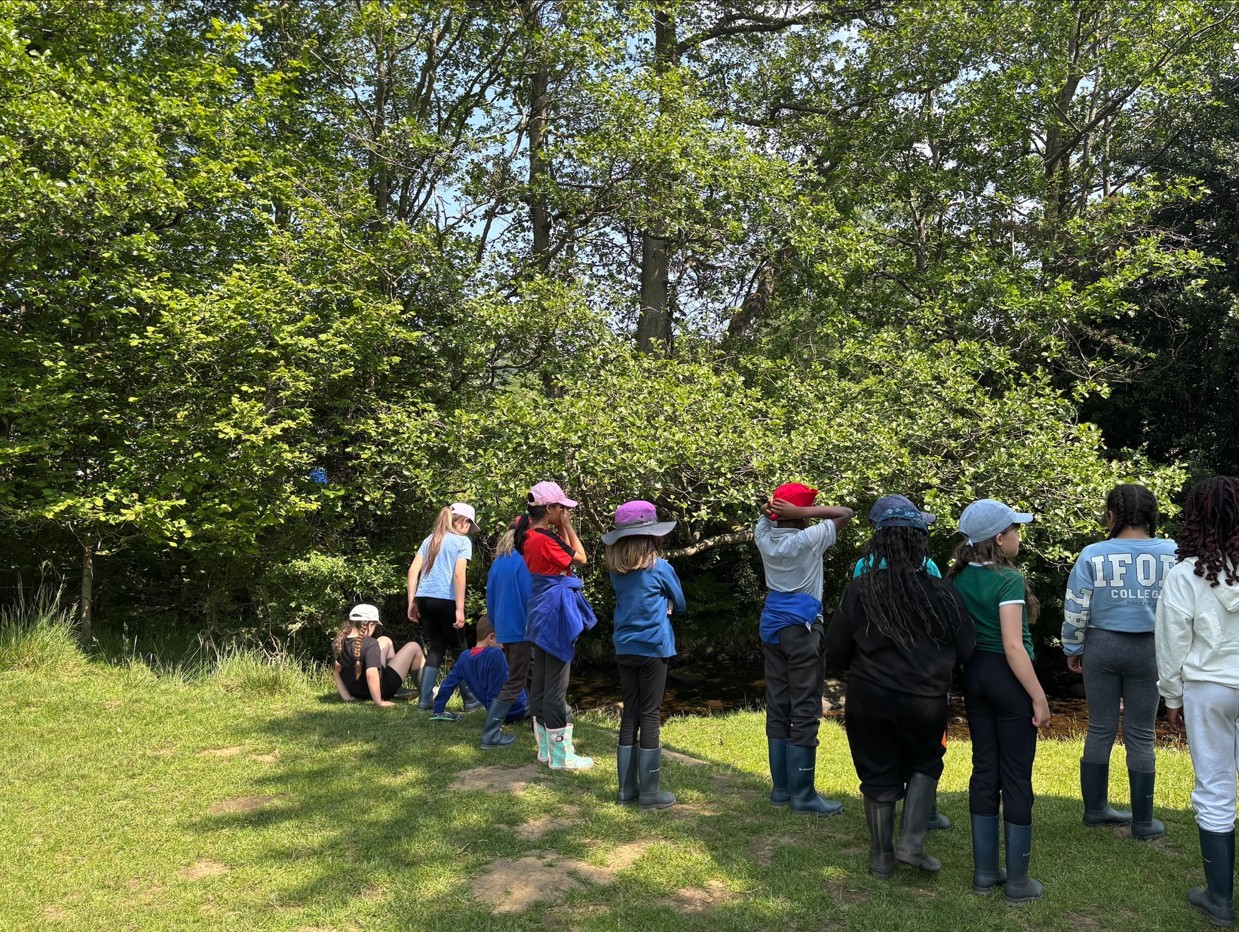 Hathersage 25 Photo 1