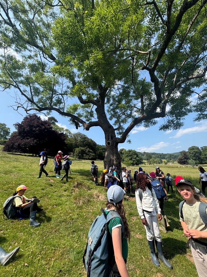 Hathersage 25 Photo 7