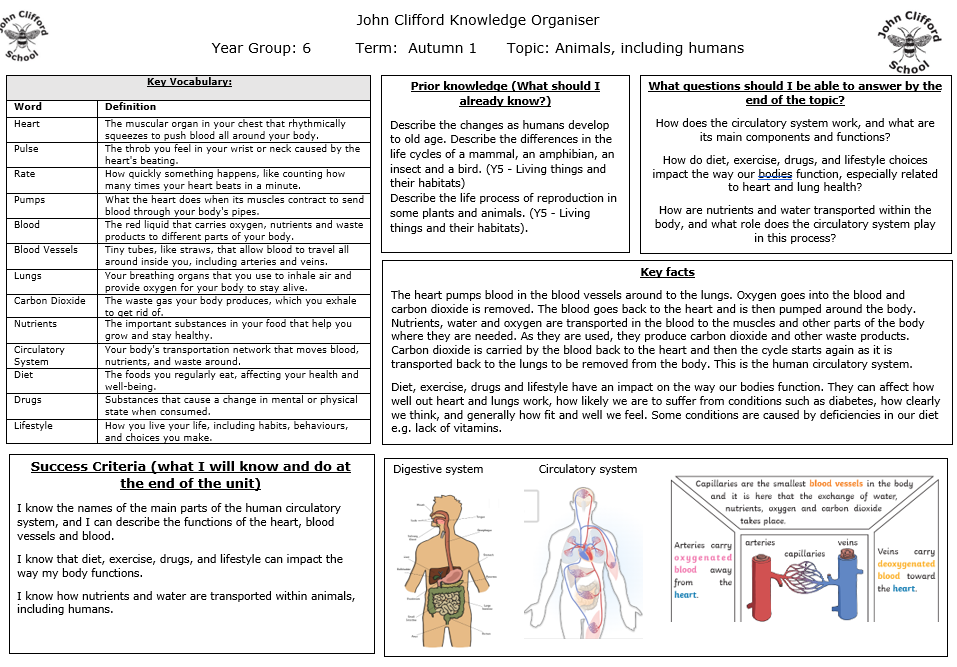 science_knowledge_organiser_1.png